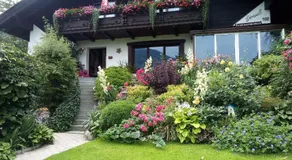 Blumenpension Strauss - Ferienwohnungen - Image 4