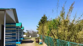Nest bird cottage - Image 4