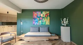 Boutique Saline Apartments - Green - Image 2