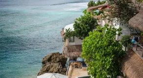 Rock'n Reef - Image 3