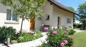 les iris - Image 4