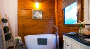Appalachian High Country Retreat - Image 3