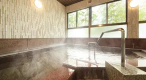 Nanpeidai Onsen Hotel - Image 4