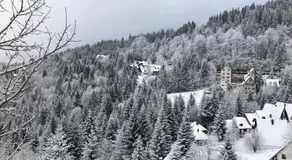 Stara Bačija - Image 5