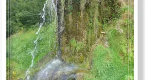 Wellnesska Vyhne - Image 5