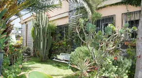 Casa El Drago - Gran Canaria - Image 5