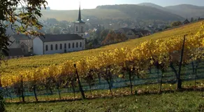 Chambres d'hôtes et Gîte chez Martine - Image 2