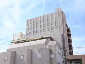Ota  Now Resort Hotel - Image 4