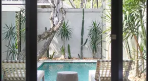 Ahimsa Beach - Image 4