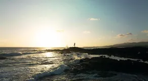 Waveist Crest - Image 5