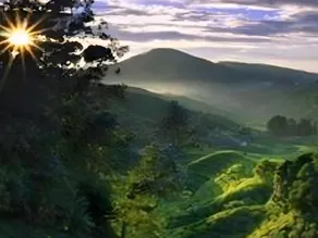 Holiday Accommodation Cameron Highlands - Image 2