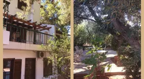 Seaside Villa in Alikes, Chalkida - Image 5