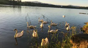 Lakeside Lookout Bantry - Image 5