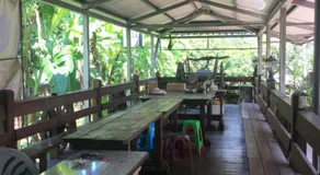 Music House Homestay - Image 5