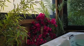Balisier Maison Jacuzzi luxe privatif à 15min de Disneyland Paris - Image 3