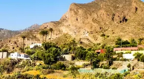 Palmeral de Taidía - Image 5