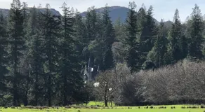 Pucks Glen Lodges - Log Cabins in a wonderful natural environment - Image 5