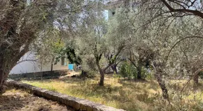 Aparments in the olives - Image 5