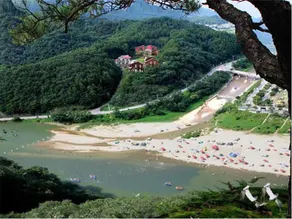 Heidi Korea - Image 2