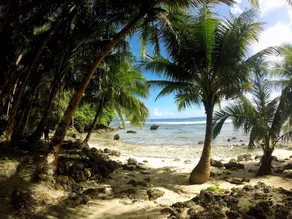 Vivo Siargao - Image 4