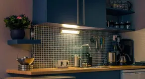 De ferver - Image 3