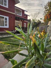 Ahiliya homestay bhimtal - Image 5