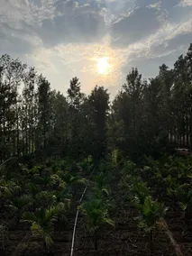 Chikkavaddarakere Farmstays - Image 5