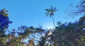 Repousada Sana - Image 3