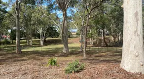 Wsabode - Image 5