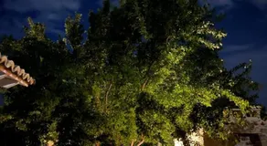 Aνεξάρτητη παραδοσιακή πέτρινη κατοικία - Image 3
