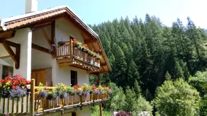 Gîte Ancolie Bleue - Image 5