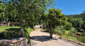 Casa grilo valença - Image 5