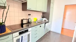 Very nice flat 80 meter from SBB - Image 5