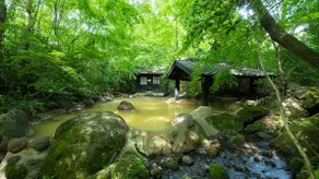 Ryokan Shinseikan - Image 3