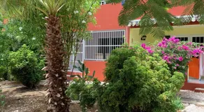 Bon Bini na Curacao - Image 4