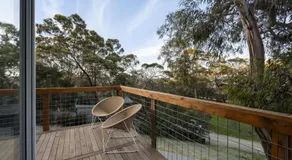 Birdsong - Image 4