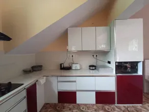 ROARER MANOR - Image 4
