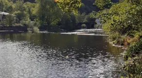 Bucolique Studette - Image 5