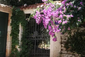 Holiday house Davor Sutivan, Island Brac - Image 2
