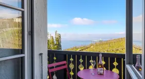 Domaine de la Crausaz - Image 4