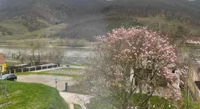 Top Ferienhaus bei Spitz / Wachau - Image 5
