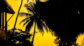 Akki's Hostel - Image 2