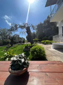 Ilias Apartments - Image 4
