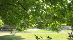 Goldberryaccommodation - Image 5