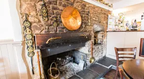 The Swan - Image 4
