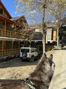 Peppy Nomads Luxuria - Image 5