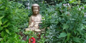 Les Jardins de l'Achillée Millefeuille - Image 3