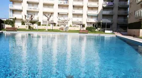 Los Pelicanos - Image 4