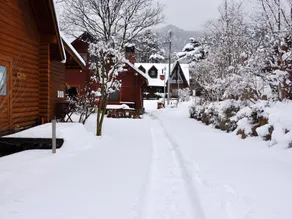 Canadian Log Cottage TAKITARO - Image 4