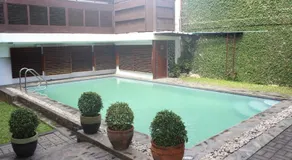 Purple Tree Bed & Breakfast - Image 3